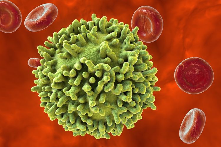 Lymphocyte Infection How Inflammation Is Burning Your Health - Healthdish