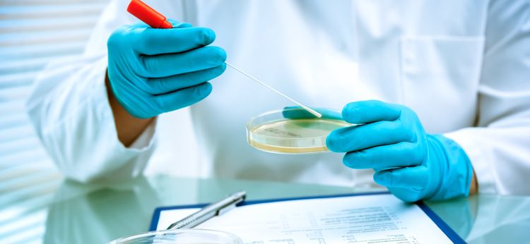 Photo of scientist in gloves holding petri dish in laboratory