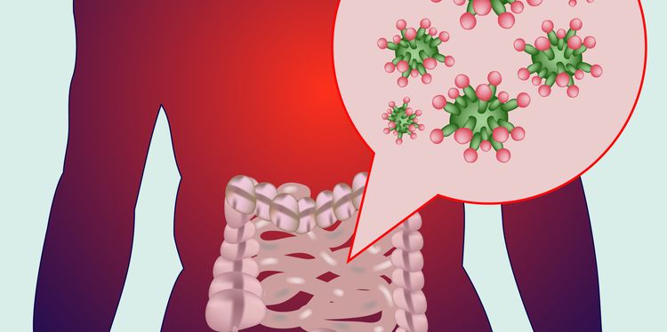 Illustration of gut flora