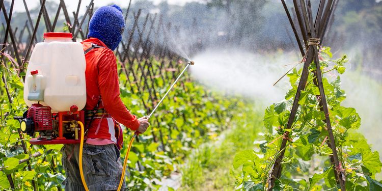 Photo of a man applying pesticide