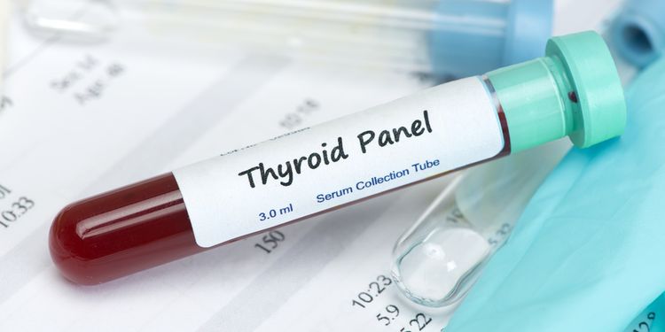 The Thyroid Function Tests You Need To Know About - Healthdish