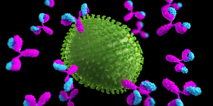 Illustration of virus particle attacked by antibodies. Autoimmune response