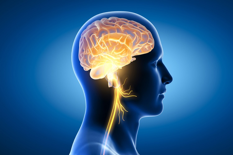 improve memory by stimulating vagus nerve